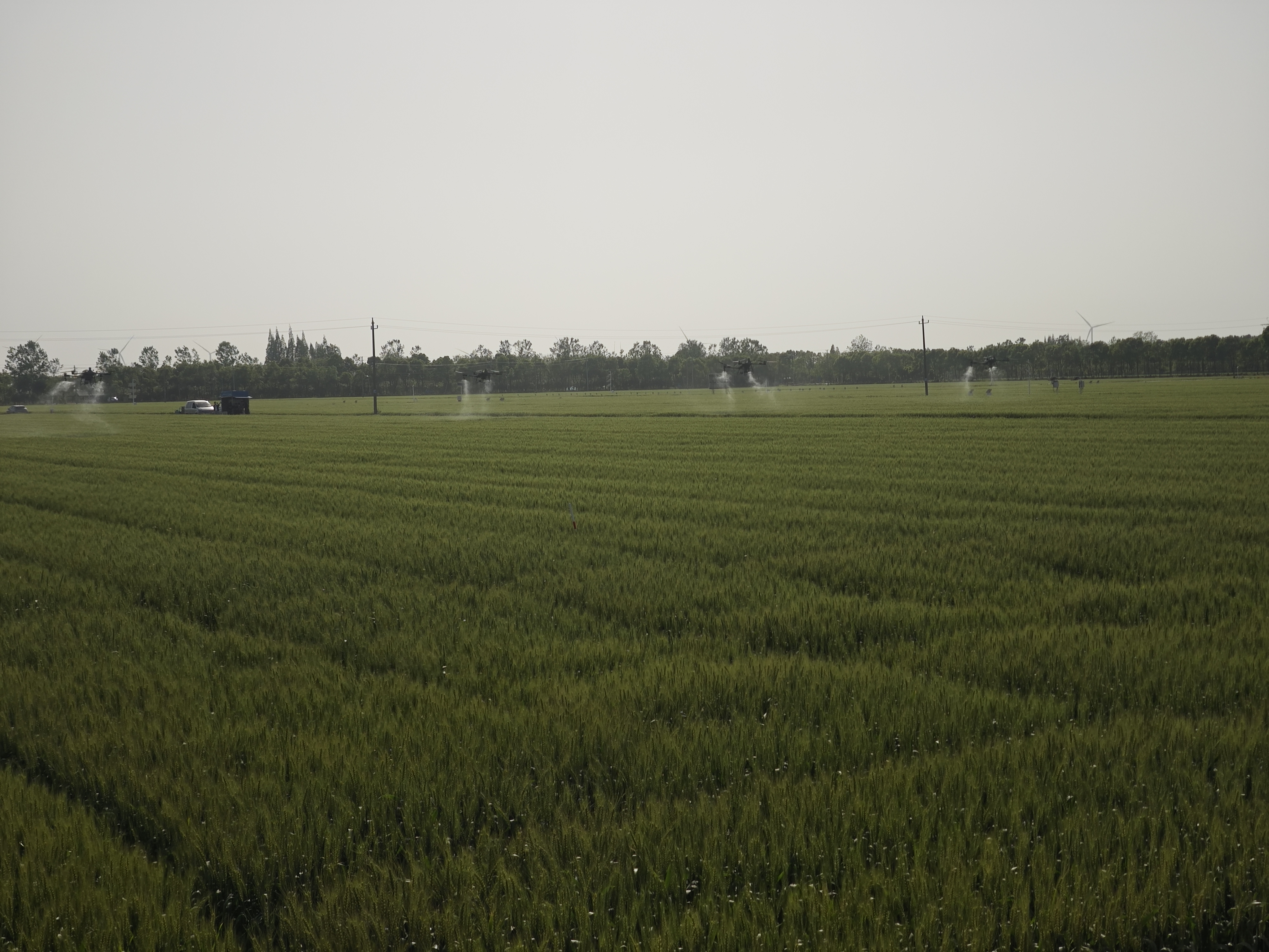 2025年4月九成畈農場用鷹米無線講解器重塑現(xiàn)代農業(yè)參觀體驗<