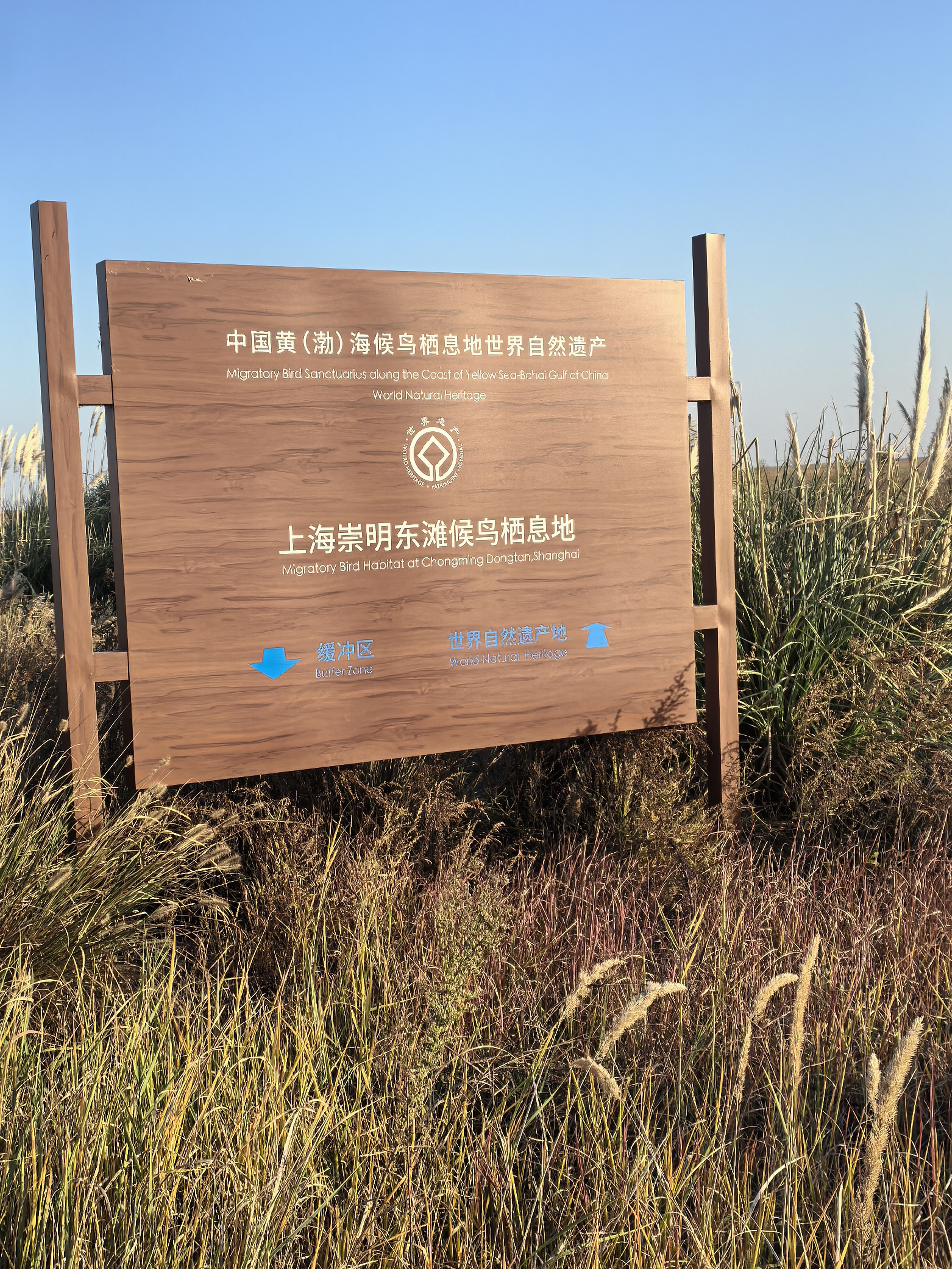 鷹米智能導(dǎo)覽柜 鷹米智能導(dǎo)覽柜